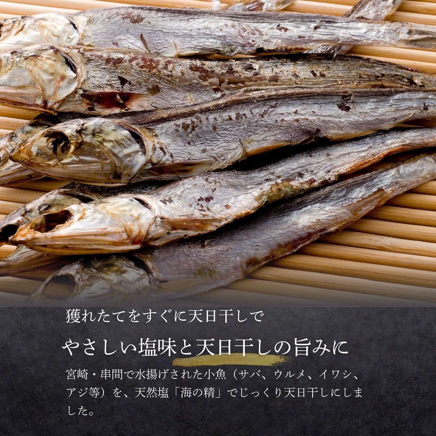 【海の精×天日干し】無添加干物セット(カマス・小魚)