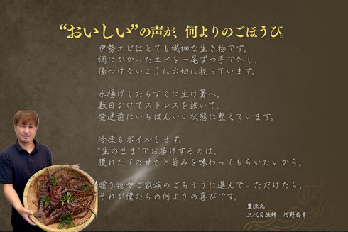 【生】特大伊勢エビ|1.5kg〜
