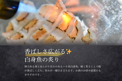 【夏季限定】高級魚入セット|8月末まで発送