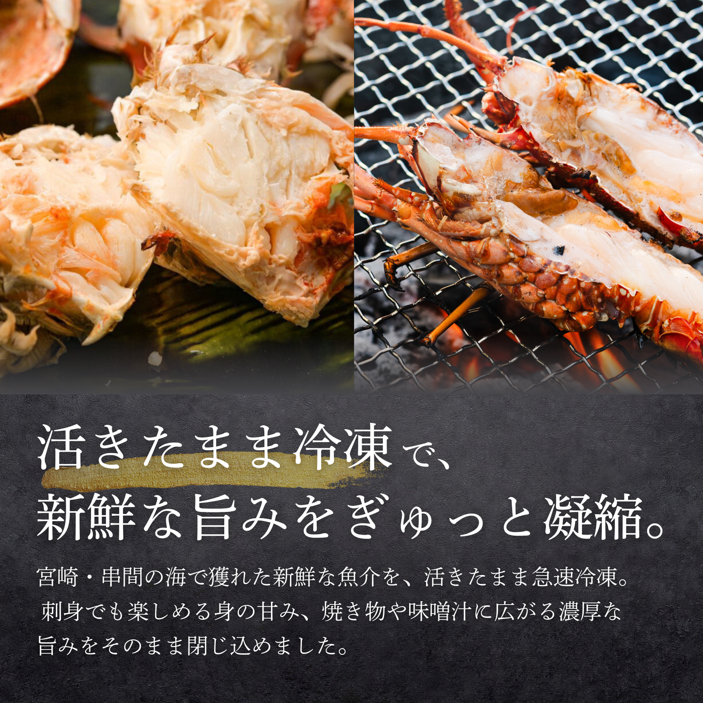 【初回限定】漁師直送お試しセット|最大5,400円OFF・送料無料