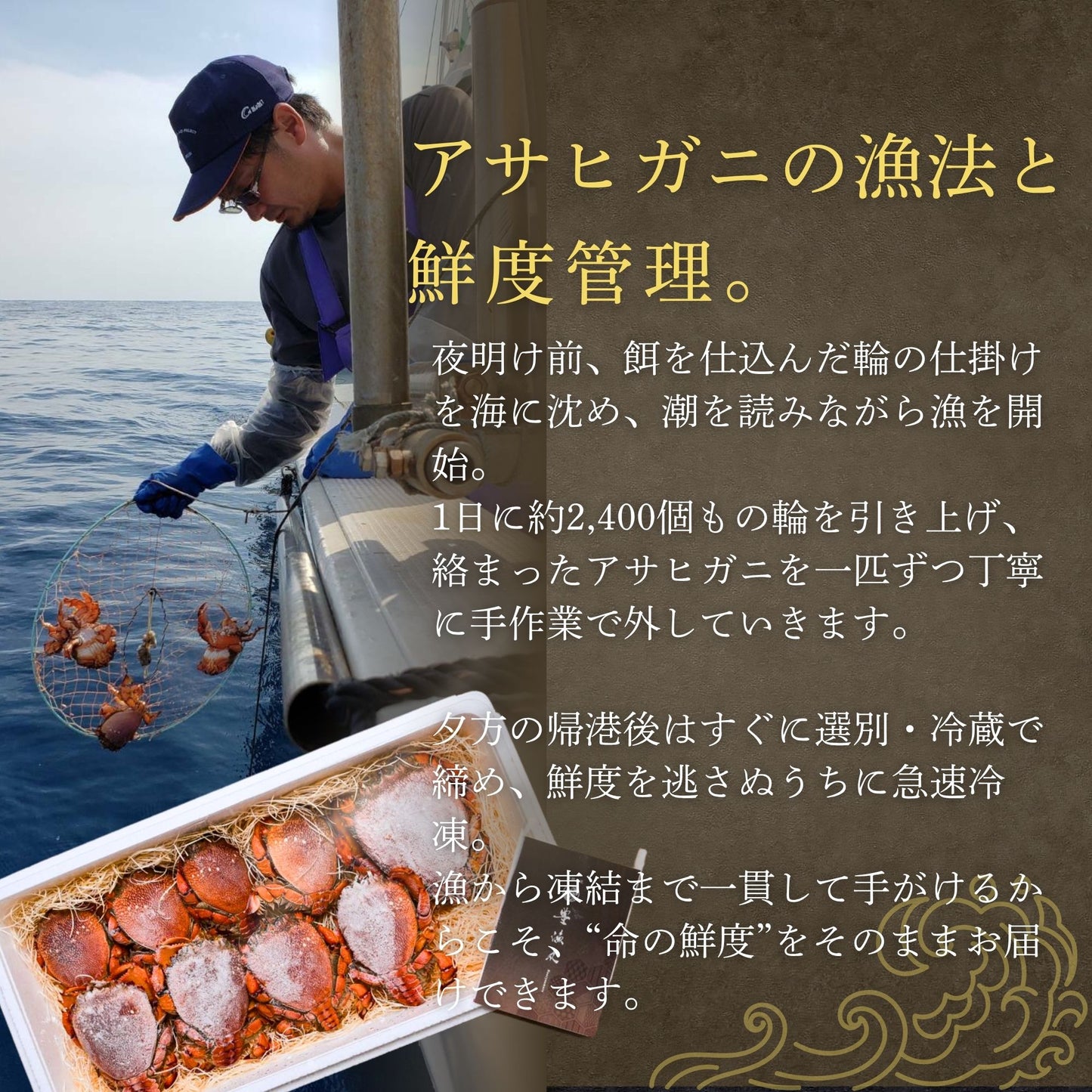 【希少ガニ】宮崎産アサヒガニ〈生冷凍・直送〉