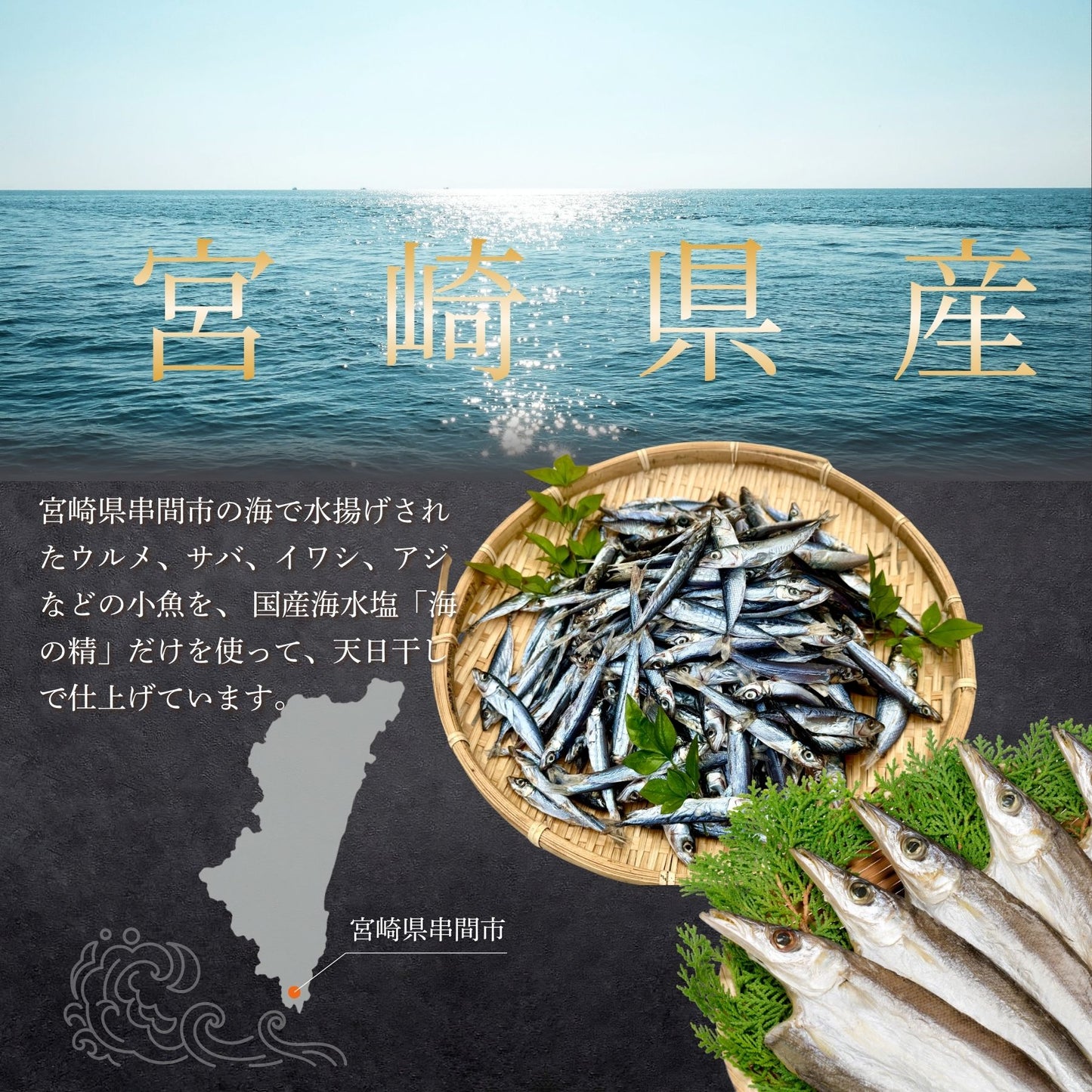 【海の精×天日干し】無添加干物セット(カマス・小魚)