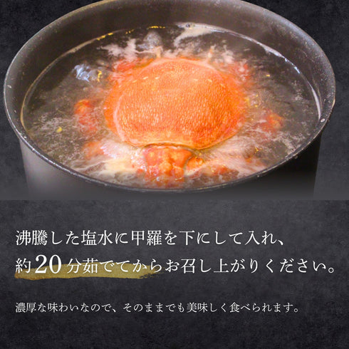 【12/7〜12/8限定】活きアサヒガニ|当日発送