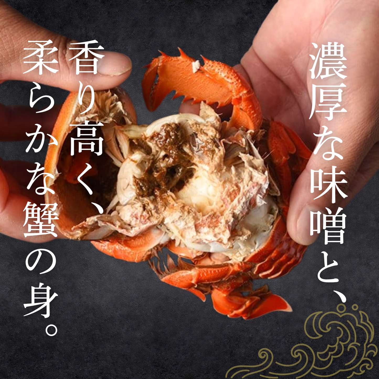 【初回限定】漁師直送お試しセット|最大5,400円OFF・送料無料