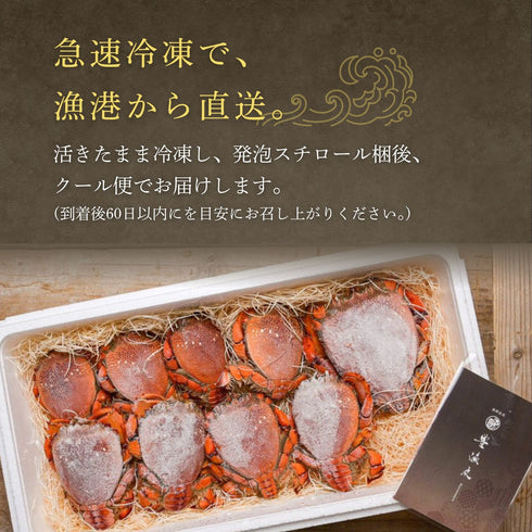 【冷凍】特大アサヒガニ |1kg〜