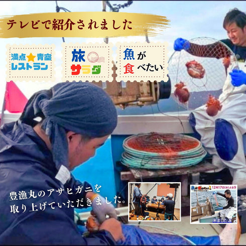 【送料無料】アサヒガニ|2kg〜