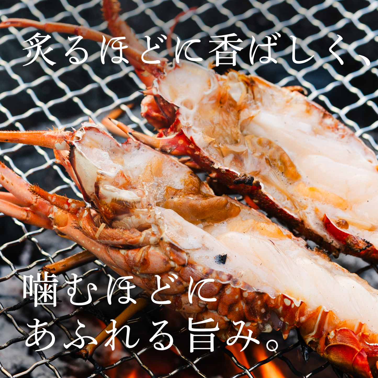 【初回限定】漁師直送お試しセット|最大5,400円OFF・送料無料