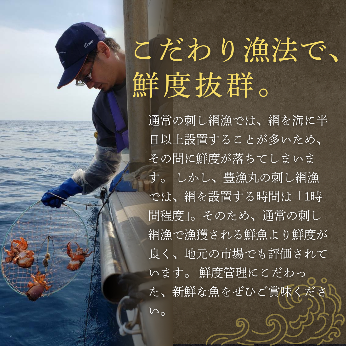 【初回限定】漁師直送お試しセット|最大5,400円OFF・送料無料