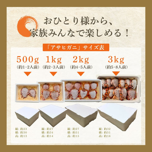 【12/7〜12/8限定】活きアサヒガニ|当日発送