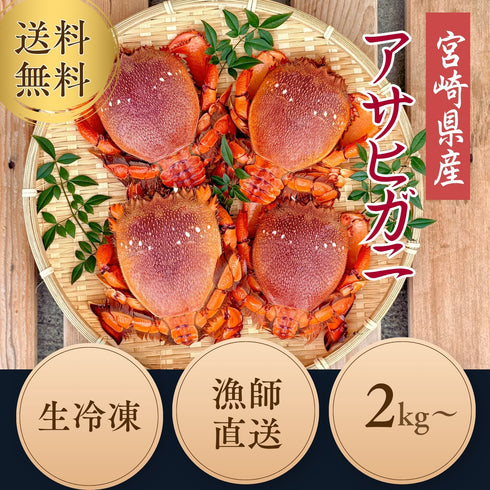 【送料無料】アサヒガニ|2kg〜