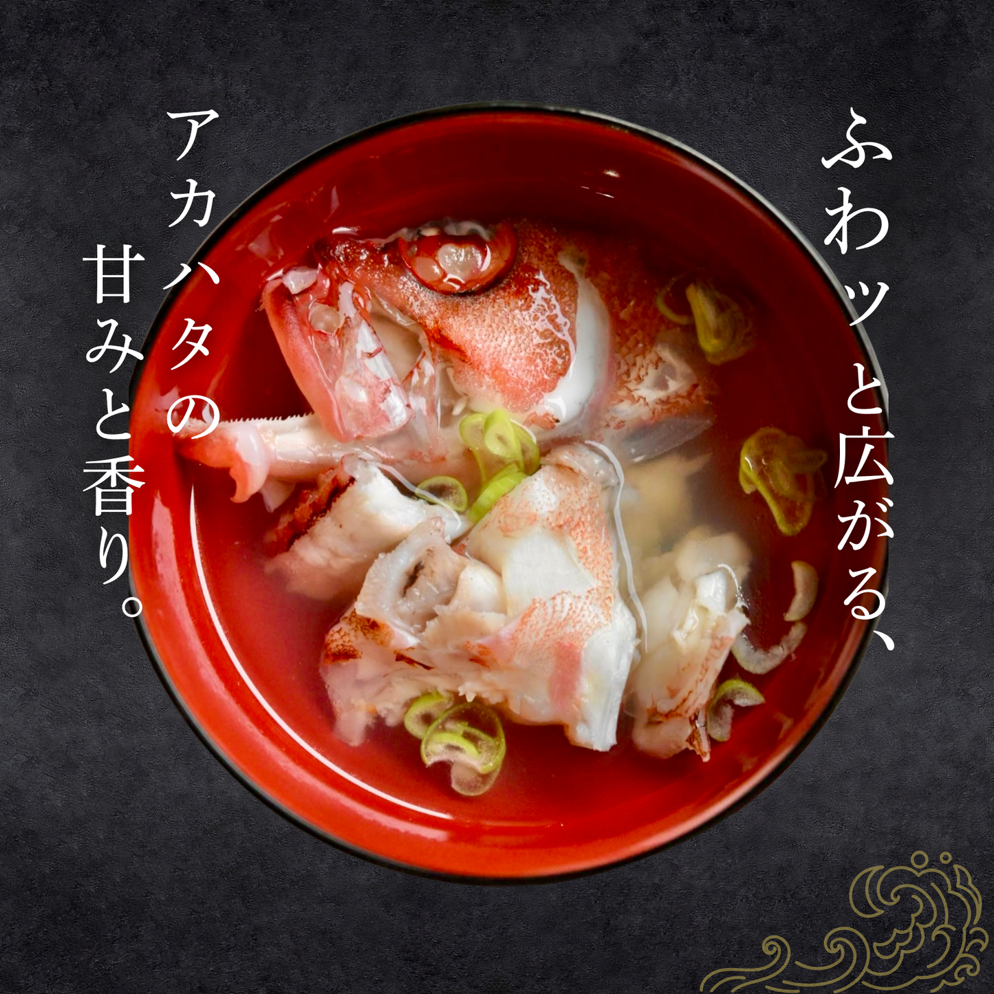 【夏季限定】天然アカハタ|8月末まで発送