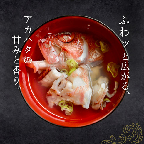 【大サイズ】天然アカハタ|8月下旬まで発送