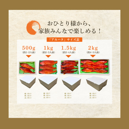 【夏季限定】天然アカハタ|8月末まで発送