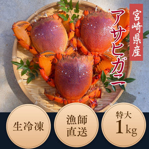 特大アサヒガニ |1kg