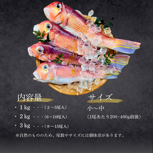 【家庭料理に】ふっくらやさしい甘みの甘鯛(アマダイ)