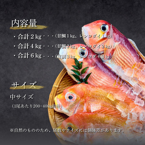 【食べ比べ】甘鯛 × レンコダイセット