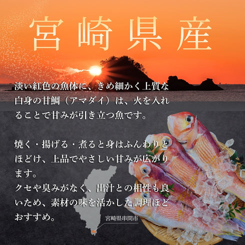 【一尾で味わう】大きめ甘鯛(アマダイ)500〜600g