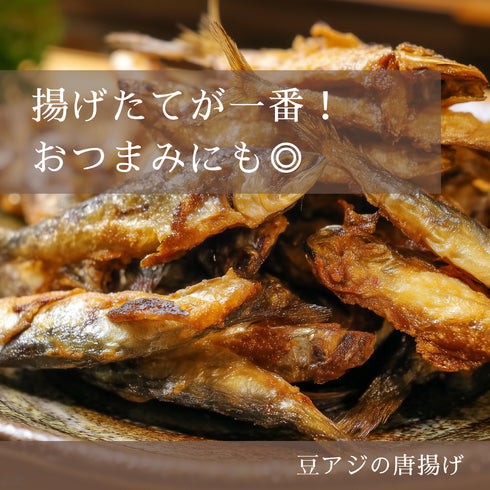 【本日発送】獲れたて豆あじー1kg