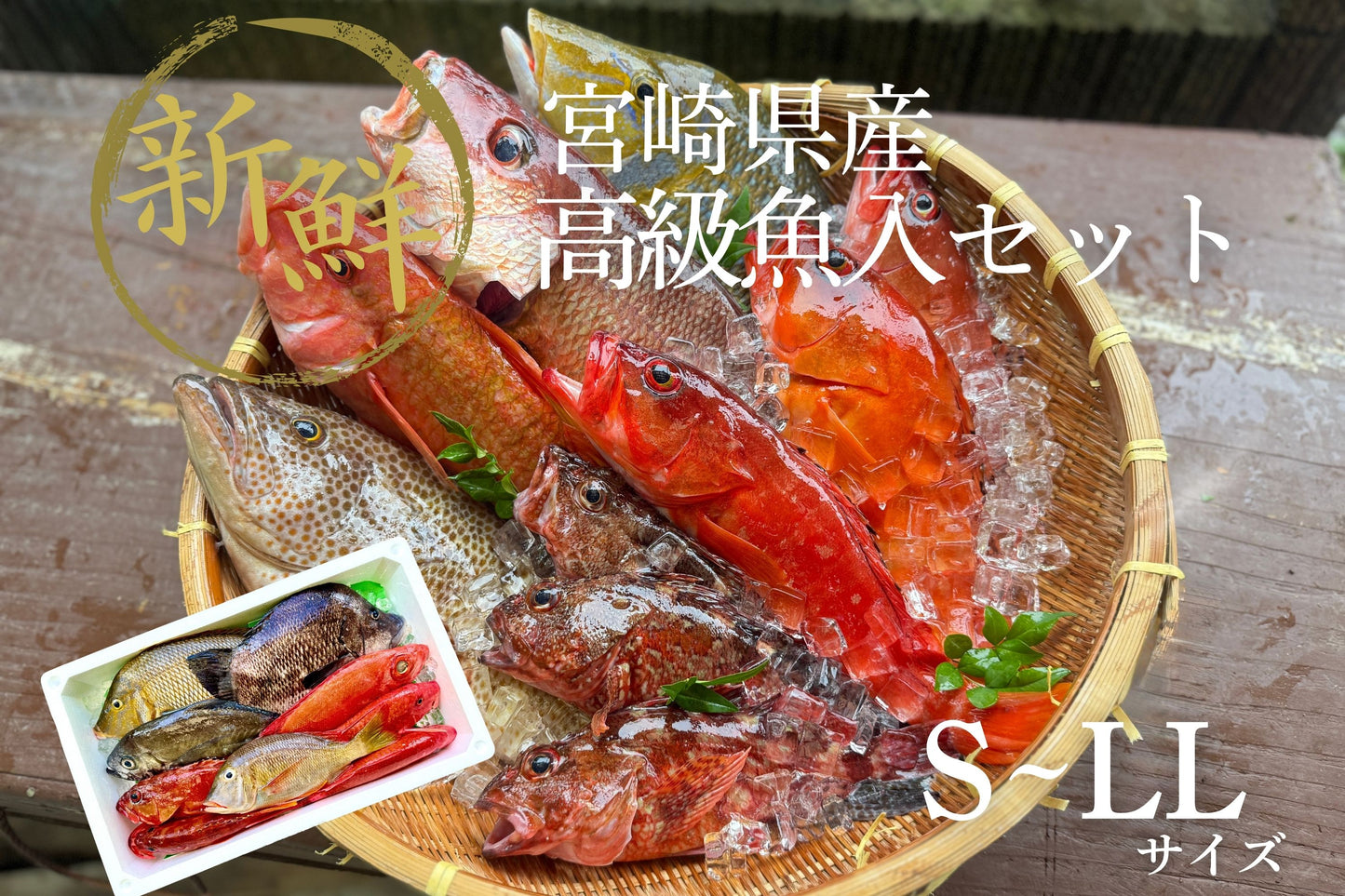 【夏季限定】高級魚入セット|8月末まで発送