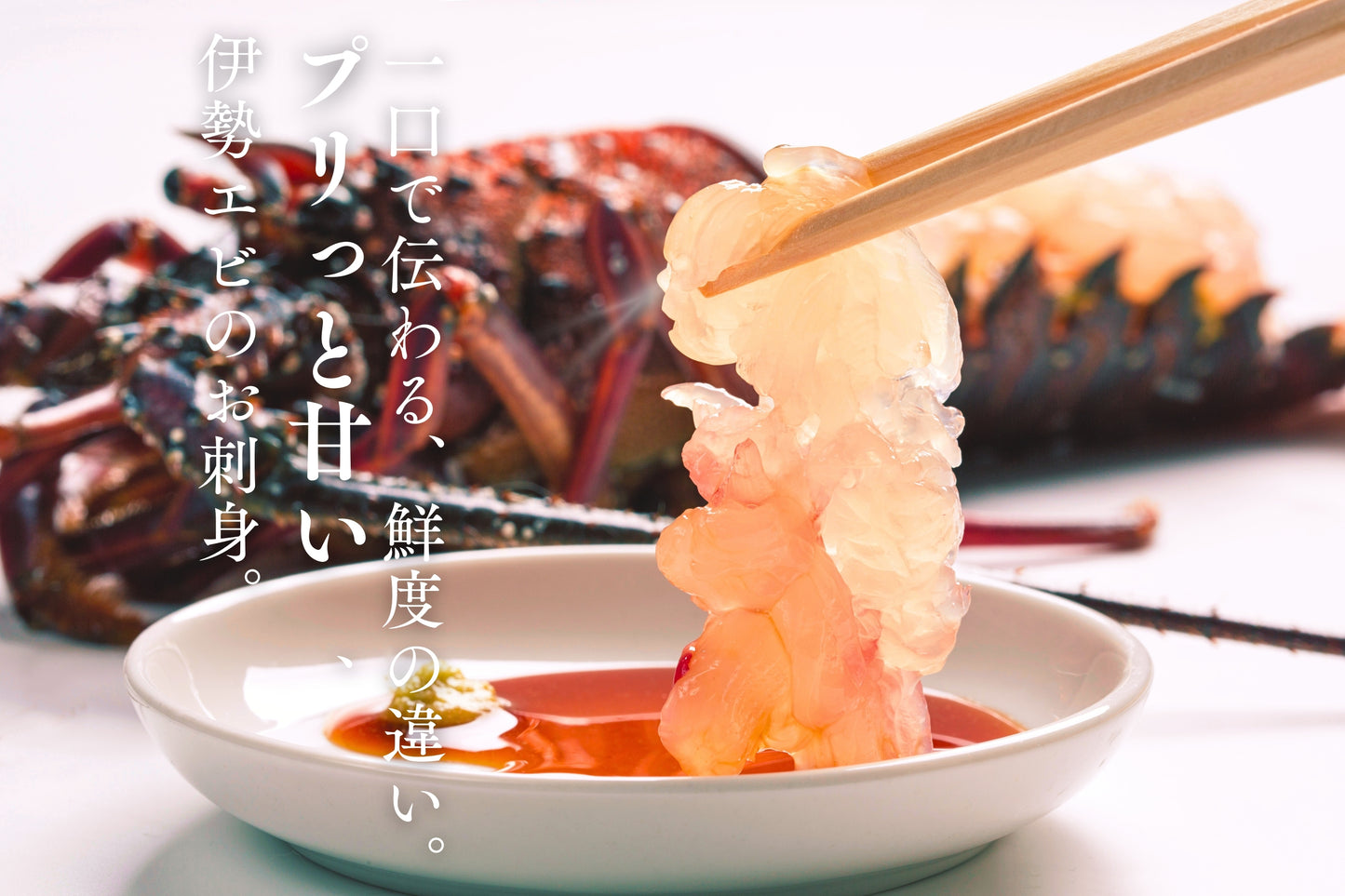 【活かして発送】甘み濃厚な天然伊勢エビ(宮崎産|500g〜)