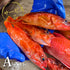 【7/18水揚げ|本日発送】高級魚入り鮮魚セット(1.9kg〜)
