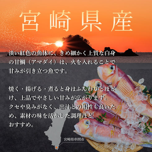 【食べ比べ】甘鯛 × レンコダイセット