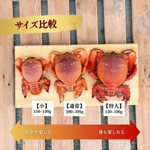 【送料無料】アサヒガニ|2kg〜