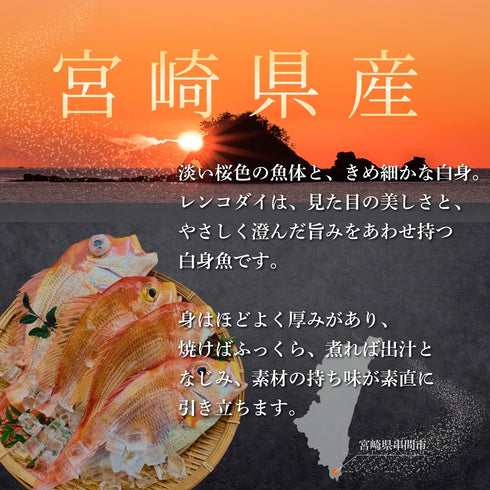 【食べ比べ】甘鯛 × レンコダイセット