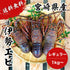 【送料無料】天然「活」伊勢エビ|1kg〜
