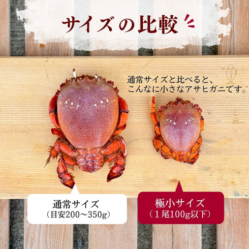 【数量限定】極小アサヒガニ