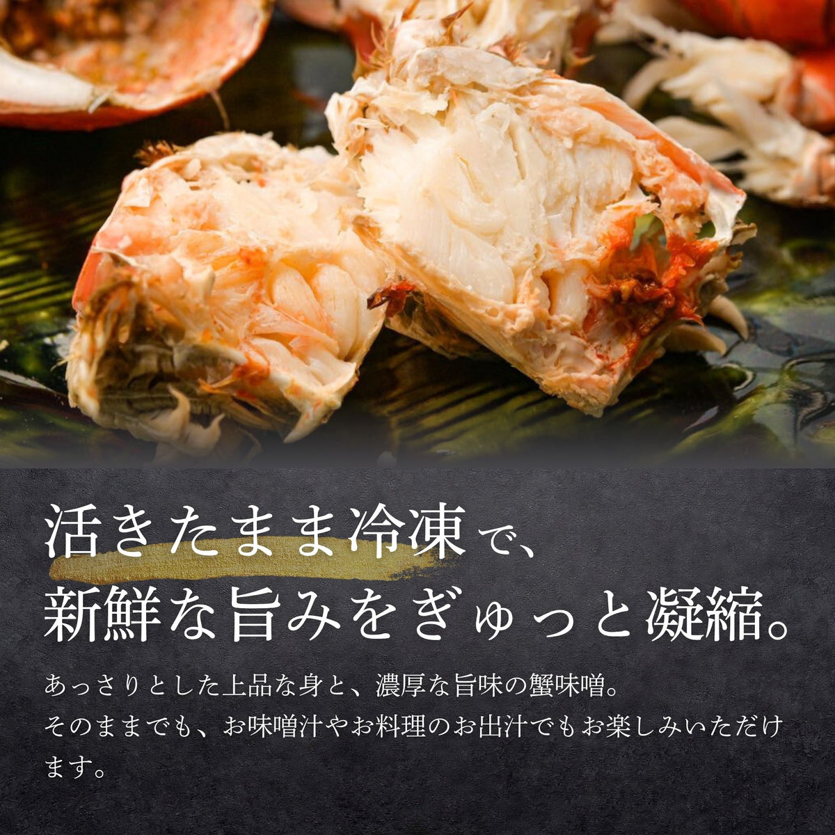 アサヒガニ｜1kg〜 – 豊漁丸-Houryoumaru-