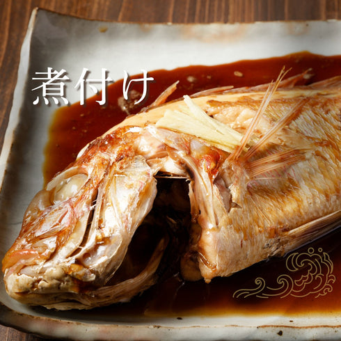 【焼き・煮付けに】ふっくら澄んだ旨みのレンコダイ