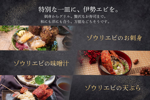 【数量限定】エビ通に人気のゾウリエビ(宮崎産|1kg〜)