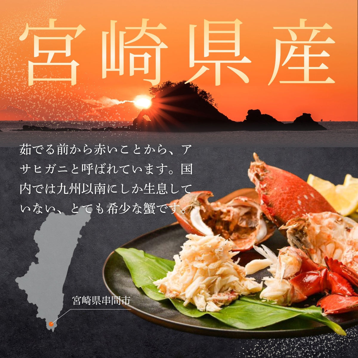 アサヒガニ｜1kg〜 – 豊漁丸-Houryoumaru-