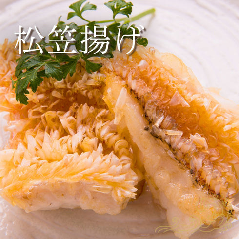 【家庭料理に】ふっくらやさしい甘みの甘鯛(アマダイ)