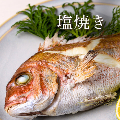 【唐揚げ・南蛮漬けに】小さめのレンコダイ