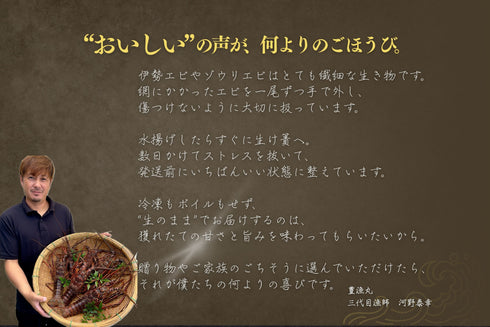 【数量限定】エビ通に人気のゾウリエビ(宮崎産|1kg〜)