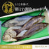 【本日1/12水揚げ|16:00締切|本日発送】旬魚4種 鮮魚セットA(約3.1kg)