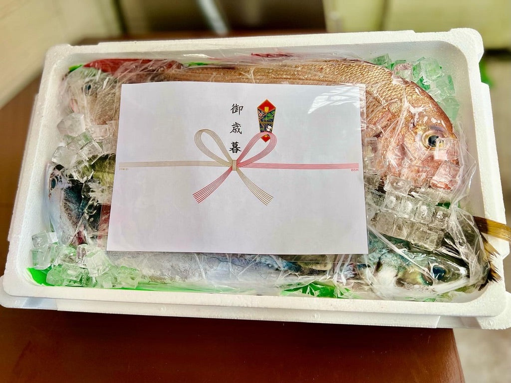 おまかせ鮮魚セットーS(お試し向け)