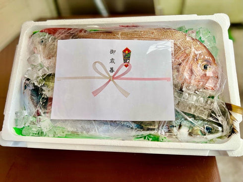 おまかせ鮮魚セットー L(ご家族向け)