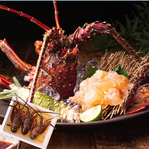 【生】伊勢エビ|500g〜