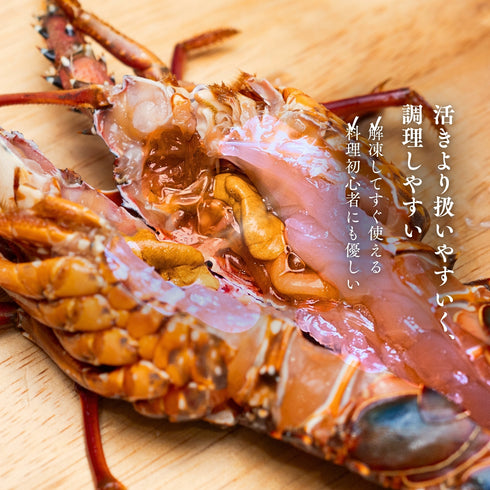 【冷凍】伊勢エビ|500g〜