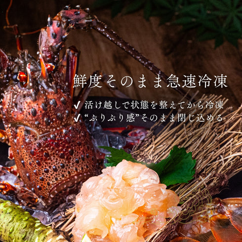 【冷凍】伊勢エビ|500g〜