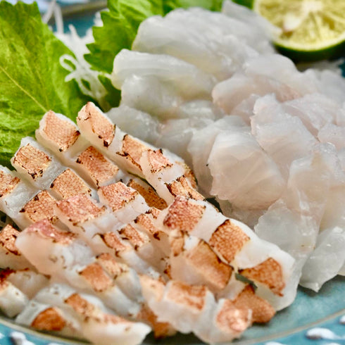 【7/14本日水揚げ・本日発送】天然アカハタ(500g~)