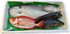 【本日1/12水揚げ|16:00締切|本日発送】高級魚入り 鮮魚セットB(約2.7kg)