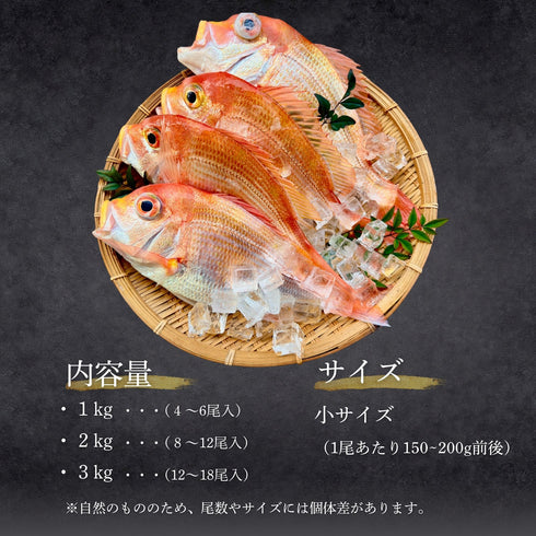 【唐揚げ・南蛮漬けに】小さめのレンコダイ