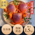 【送料無料】特大アサヒガニ |1.5kg〜