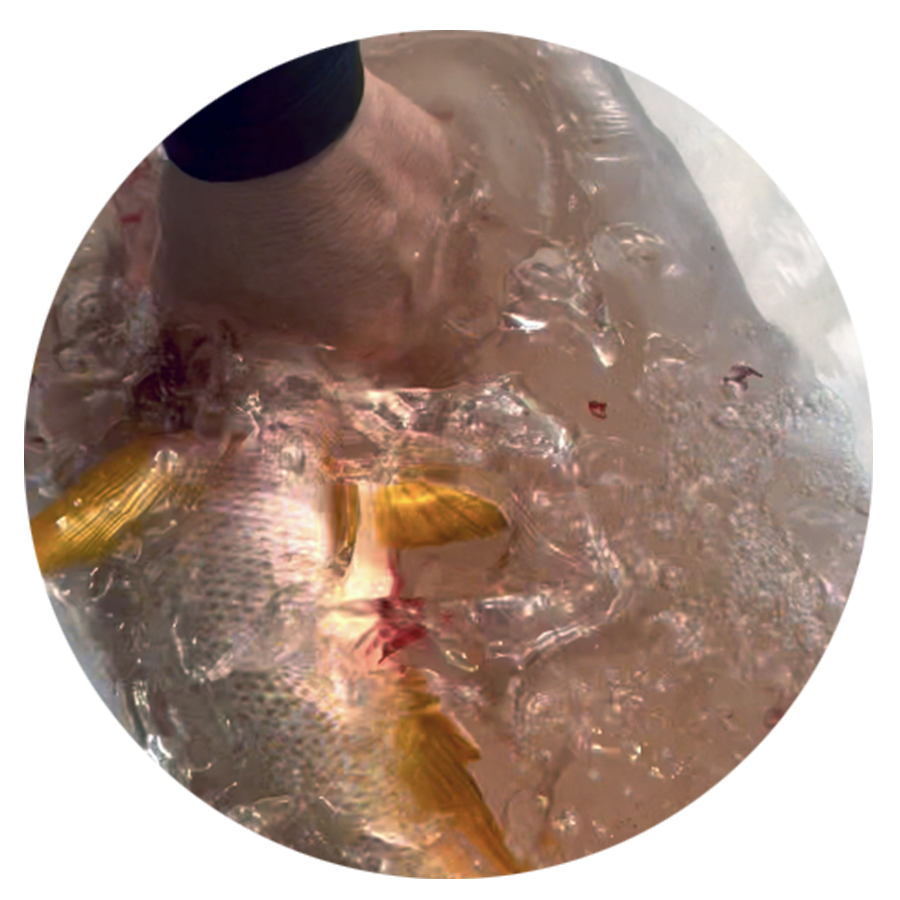 Alt image