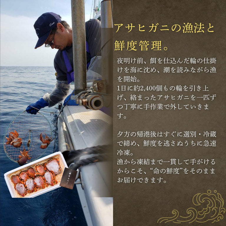 【送料無料】特大アサヒガニ ｜1.5kg〜