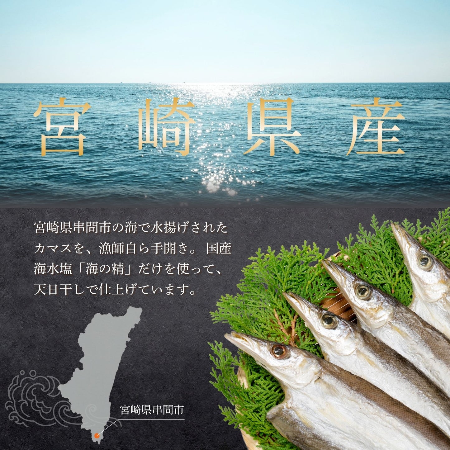 【海の精×天日干し】カマスの”無添加”干物